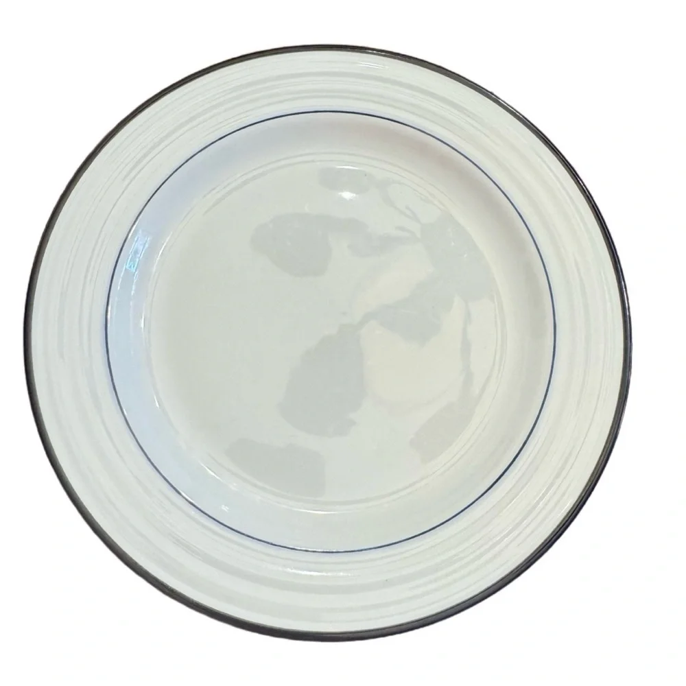 Lot of 4 Crate & Barrel Spal Porcelain Roulette Blue Trim 8 1/4” Salad Plate